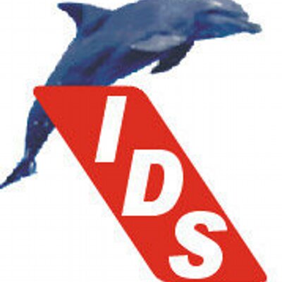 Abre en nueva ventana: IDS