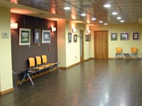 Exposiciones de arte (reserva)